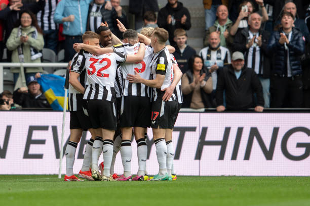 他将在这个 他将在这个